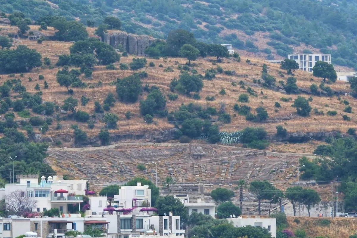Aysem Mill Hill Houses Bodrum 0*,  Turquia